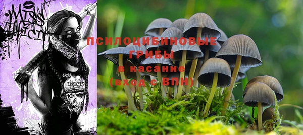 спайс Бугульма