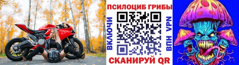 Псилоцибиновые грибы мицелий  даркнет сайт  Тверь 